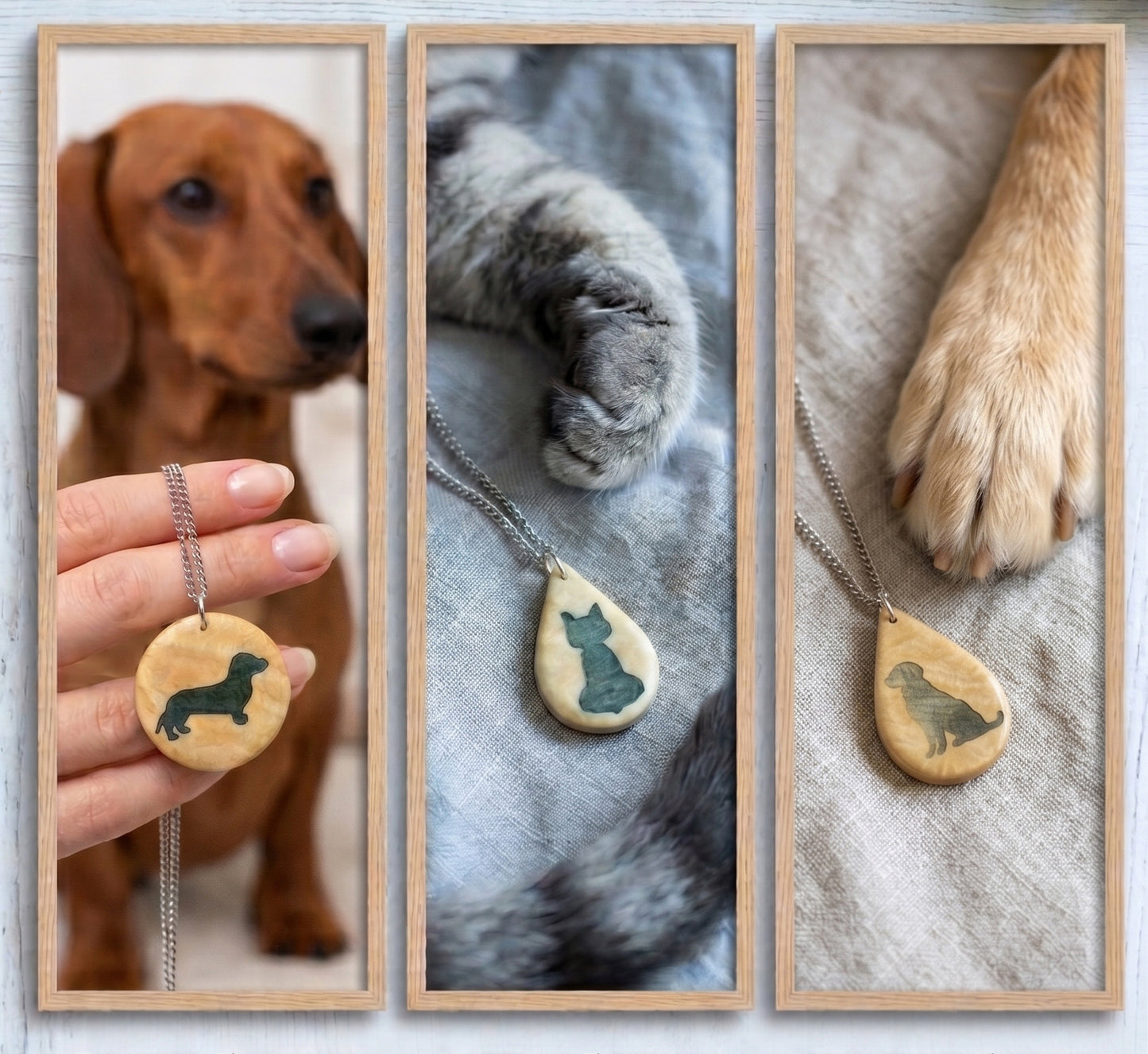 Tierliebe - Hund oder Katze?